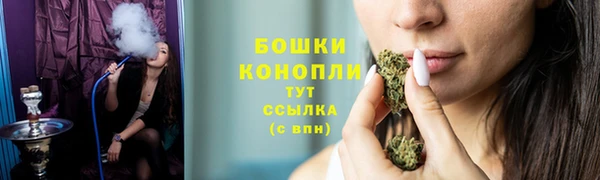 гидропоника Бородино