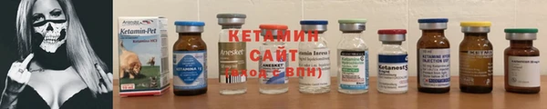 индика Богородицк