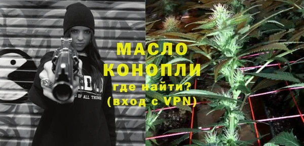 гидропоника Бородино