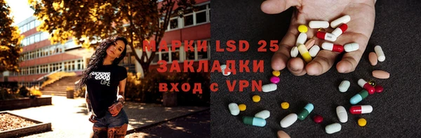 индика Богородицк