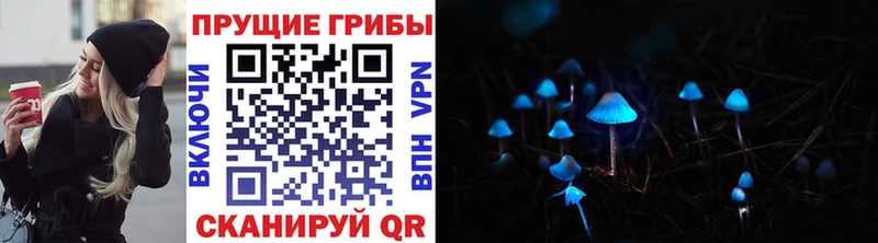 кракен маркетплейс  Вельск  Псилоцибиновые грибы GOLDEN TEACHER 